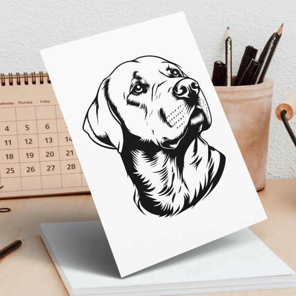 Labrador Retriever Dog Detailed SVG Design Element - Image 5