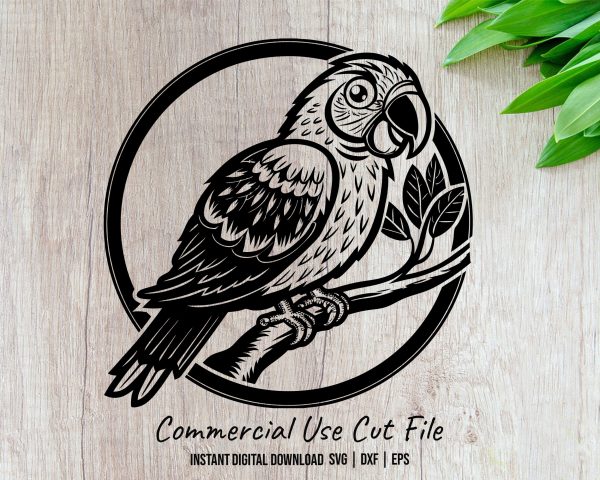 Parrot on Branch Circular Frame SVG Design Element