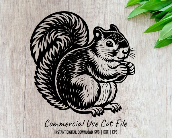 Detailed Squirrel Illustration SVG Design Element