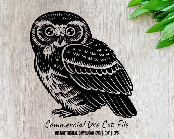 Hand Drawn Detailed Owl Illustration SVG Design Element