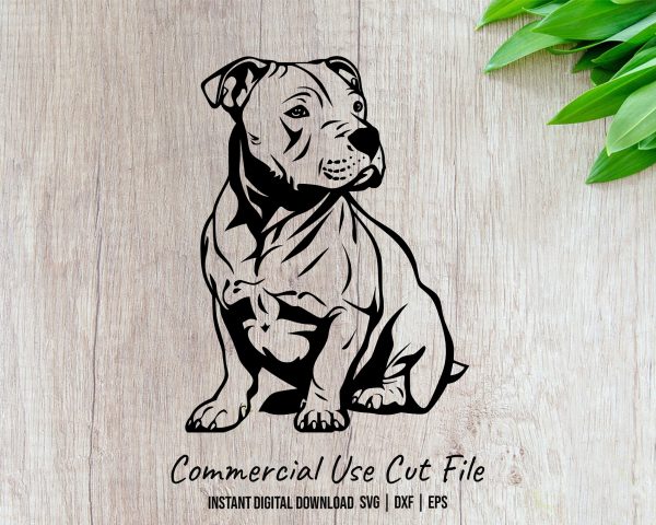 Playful Sitting Pitbull Dog SVG Design Element