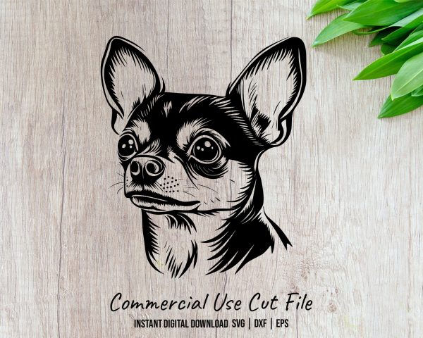 Detailed Chihuahua Portrait Sketch SVG Design Element