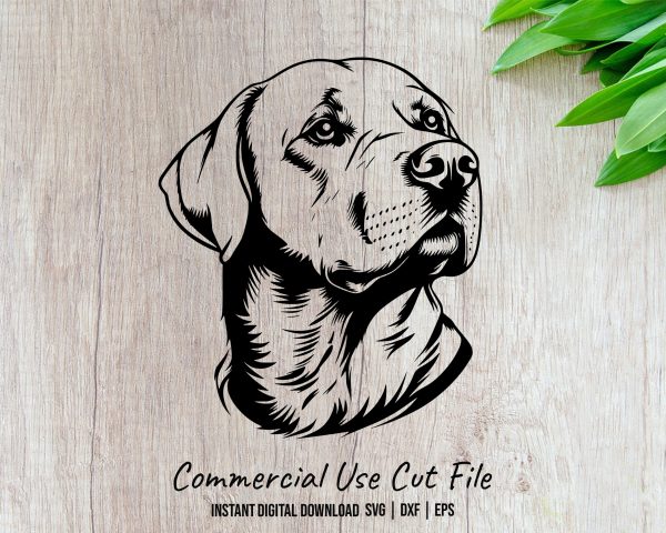 Labrador Retriever Dog Detailed SVG Design Element