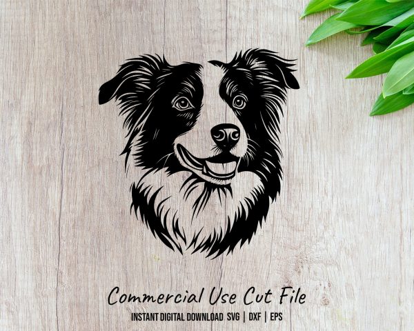 Border Collie Dog Portrait Detailed SVG Design Element