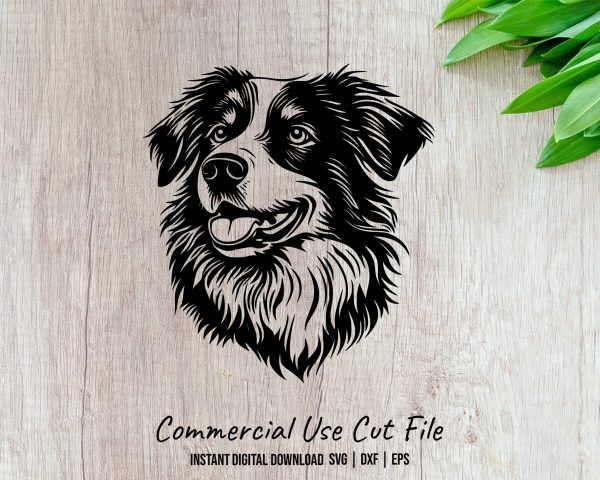 Australian Shepherd Dog Head SVG Design Element