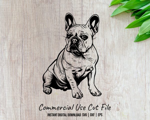 French Bulldog Detailed Illustration SVG Design Element