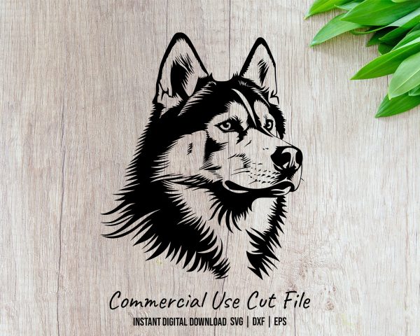 Intricate Husky Dog Face Illustration SVG Design Element