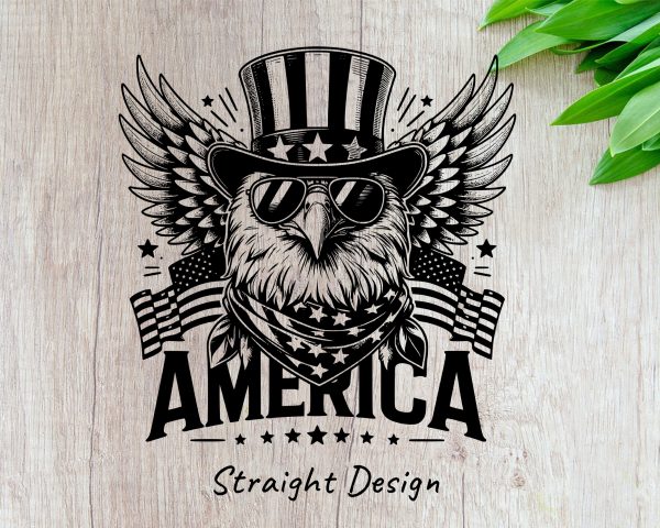 Patriotic Bald Eagle America 20oz Skinny Tumbler Laser Engraving Design SVG - Image 2