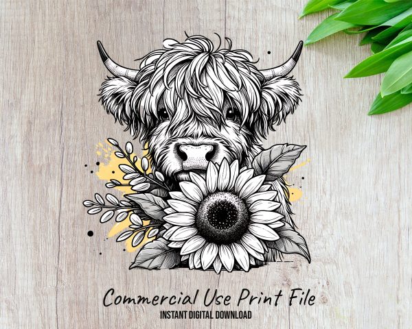 Adorable Highland Cow with Sunflower 300 DPI Transparent PNG