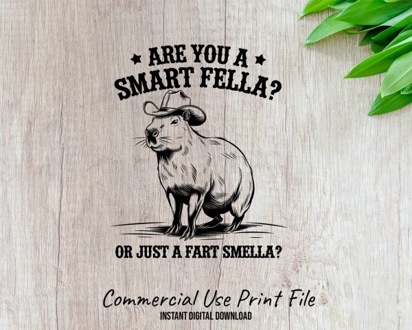 Are You a Smart Fella or Just a Fart Smella 300 DPI Transparent PNG