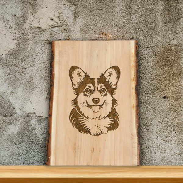 Detailed Corgi Illustration SVG Design Element - Image 2