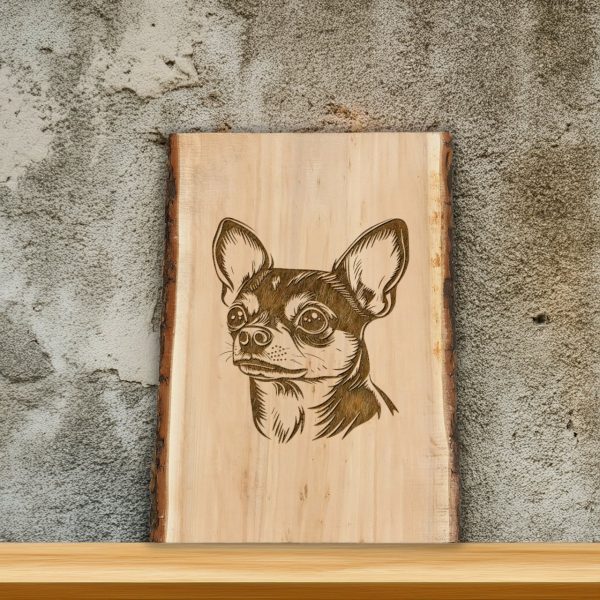 Detailed Chihuahua Portrait Sketch SVG Design Element - Image 2