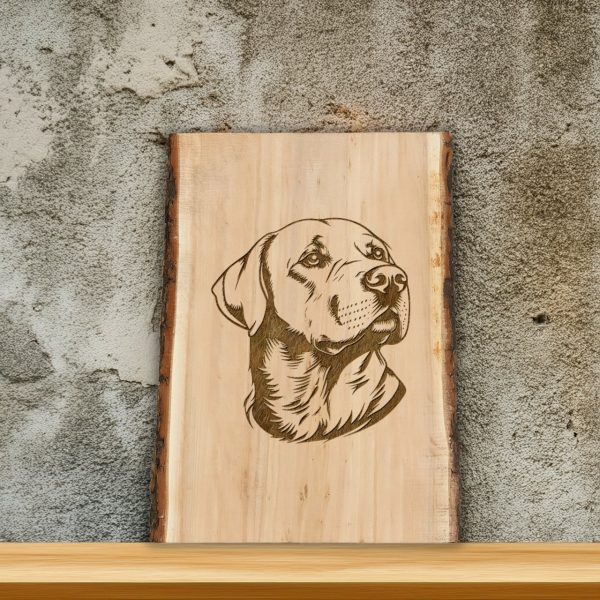 Labrador Retriever Dog Detailed SVG Design Element - Image 2