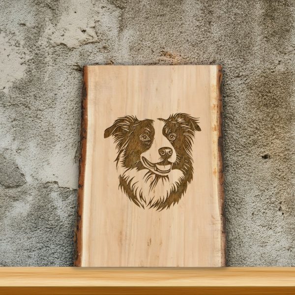 Border Collie Dog Portrait Detailed SVG Design Element - Image 2